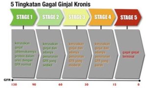 gagal ginjal