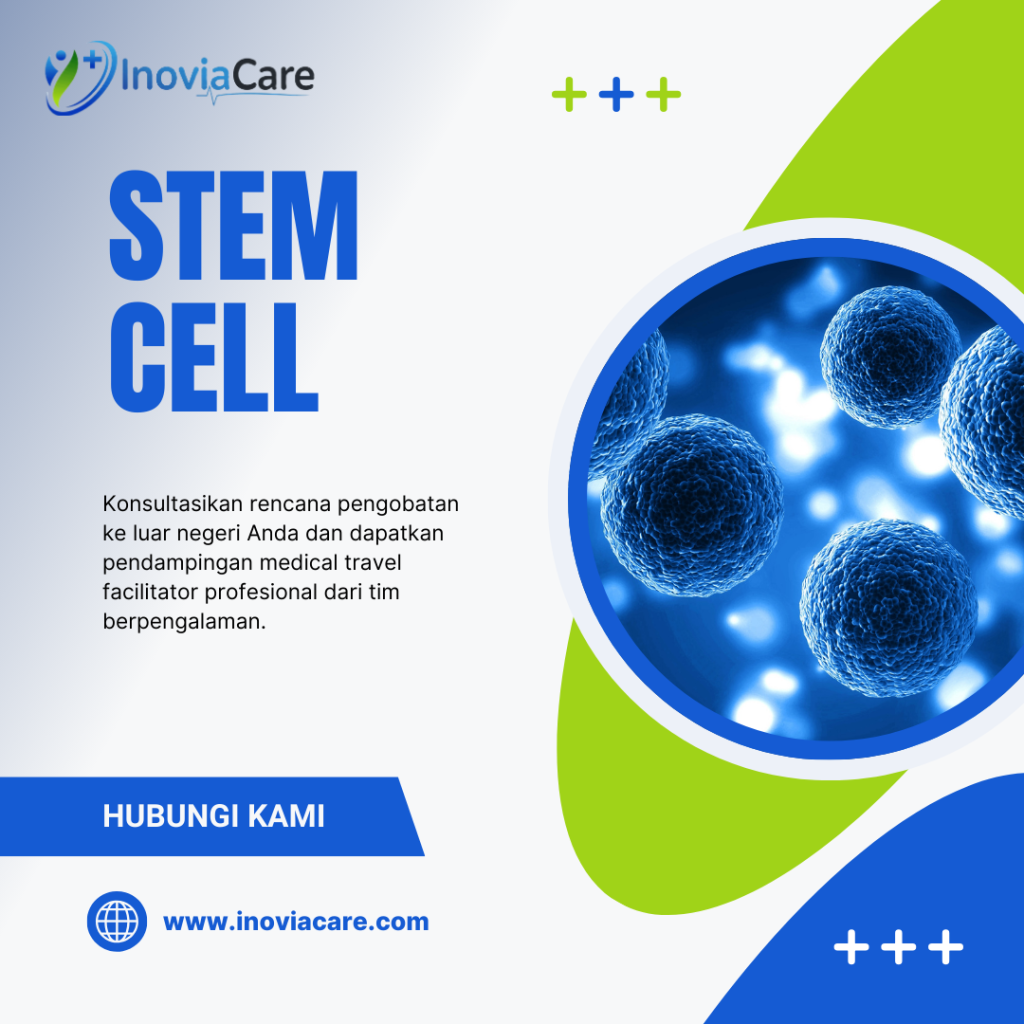 Stem Cell
